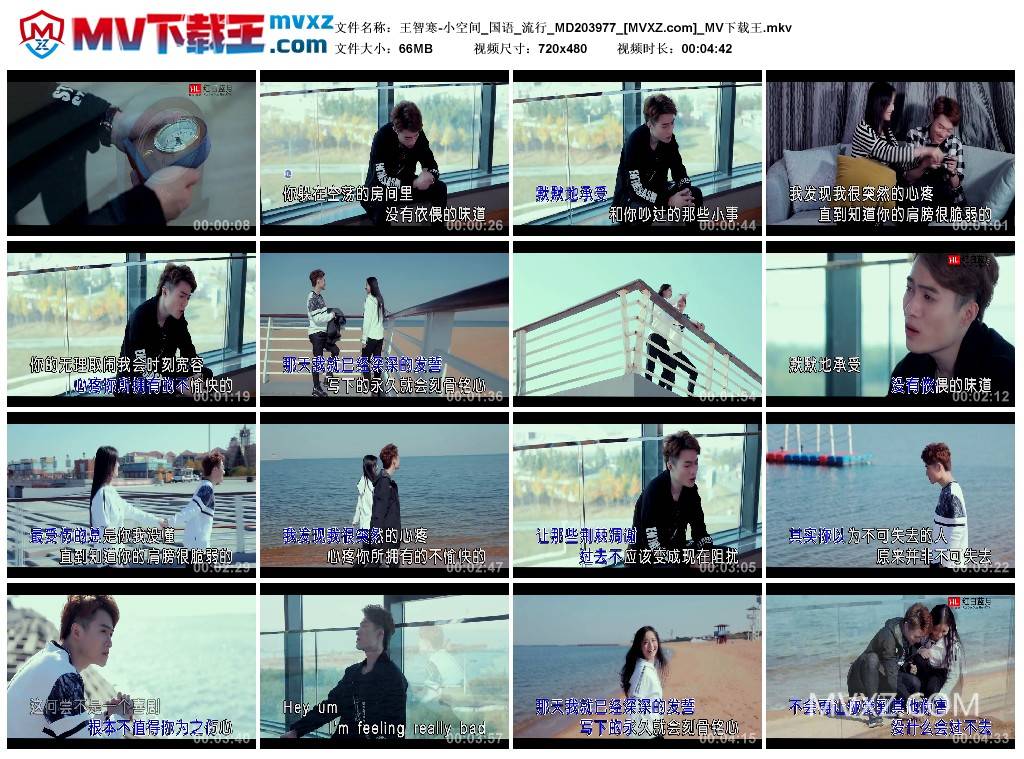 王智寒-小空间_国语_流行_MD203977